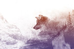 ICR319: Bill Francavilla, The Madoffs Among Us