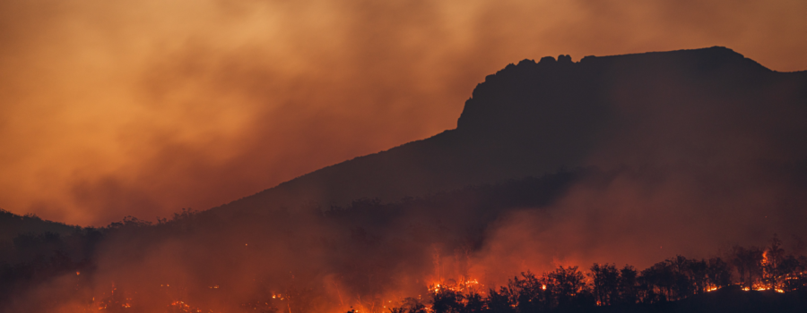 Your pension can fight climate change, with Sarah Pennells